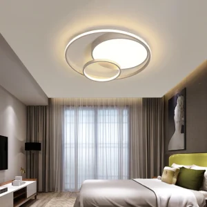 Ceiling Light with LED